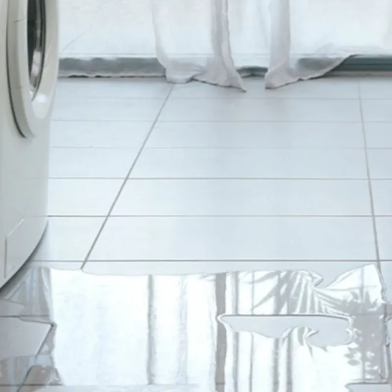 Appliance Leak Cleanup in Chilton County, AL