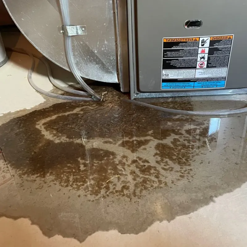 Pipe Burst and Leak Restoration in Chilton County, AL