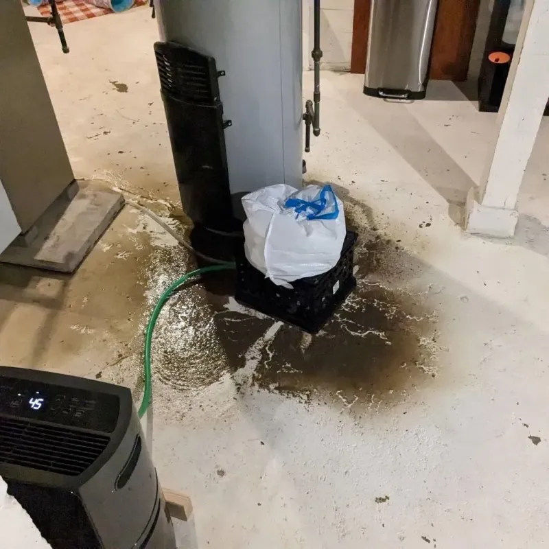 Sewage Backup Cleanup Service in Chilton County, AL